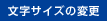 文字サイズの変更